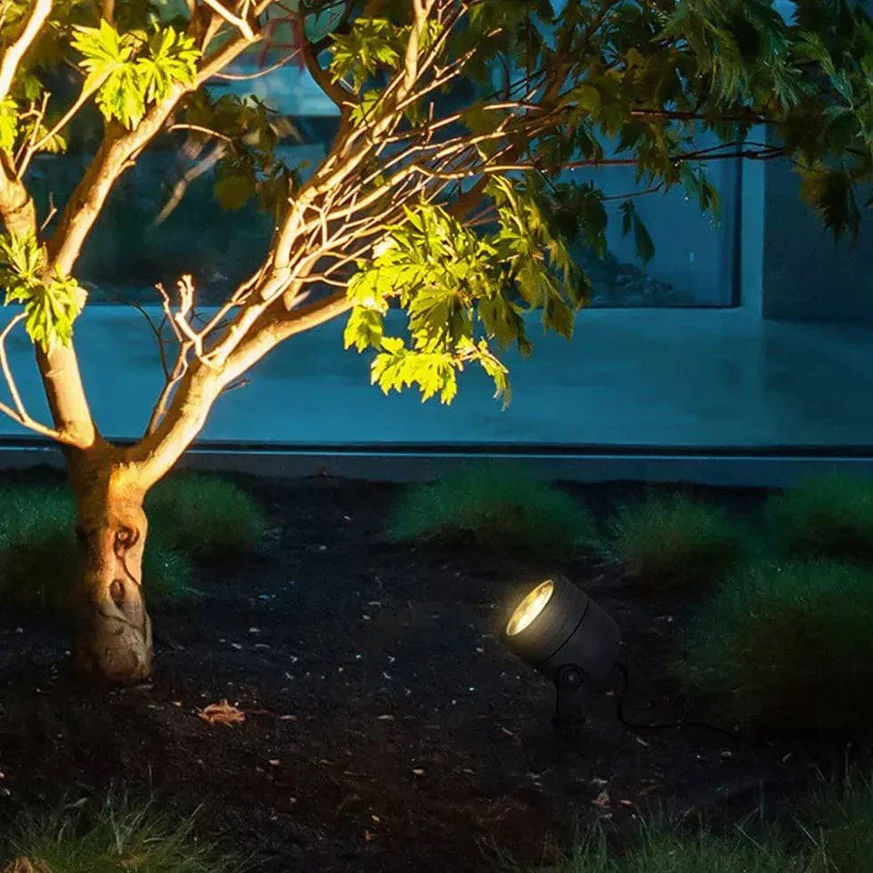 Éclairage Extérieur Solaire Pour Arbre Jardin Ambiance - Clowas.fr