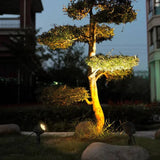 Éclairage Extérieur Solaire Pour Arbre Jardin Ambiance - Clowas.fr