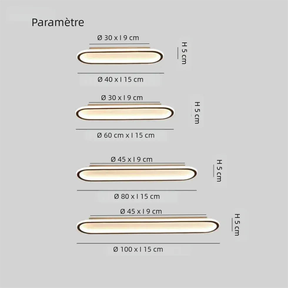 Plafonnier LED Moderne Ovale Dimmable Pour Couloir