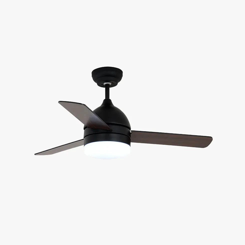 Black Modern Living Room Fan Light