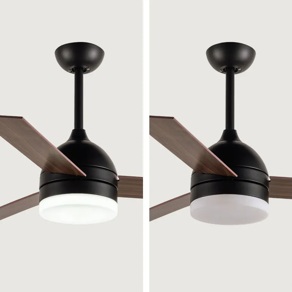 Black Modern Living Room Fan Light