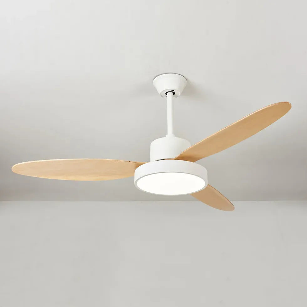 Ovale Blade Modern Living Room Fan Light