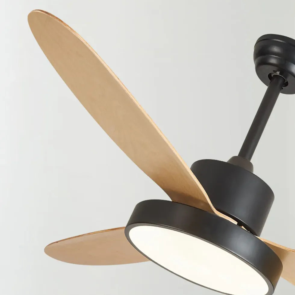 Ovale Blade Modern Living Room Fan Light