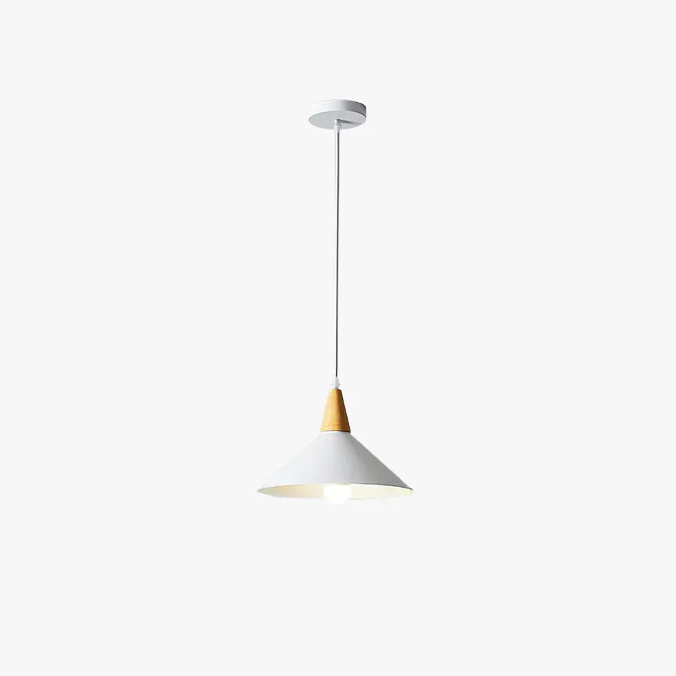 Lustre minimaliste moderne à ampoule unique