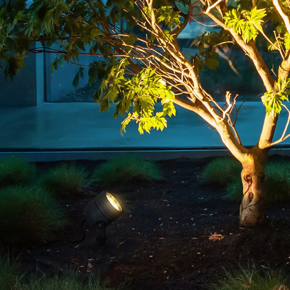 éclairage extérieur solaire pour arbre jardin ambiance