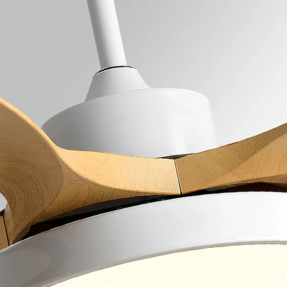 Étoile de mer ventilateur de plafond en bois avec lumière